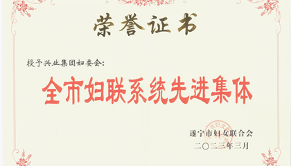 喜報！興業(yè)集團(tuán)婦委會榮獲“全市婦聯(lián)系統(tǒng)先進(jìn)集體”榮譽(yù)稱號